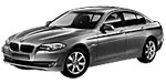 BMW F10 P2201 Fault Code